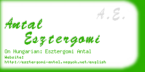 antal esztergomi business card